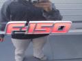 2014 F150 FX2 Tremor Regular Cab #18