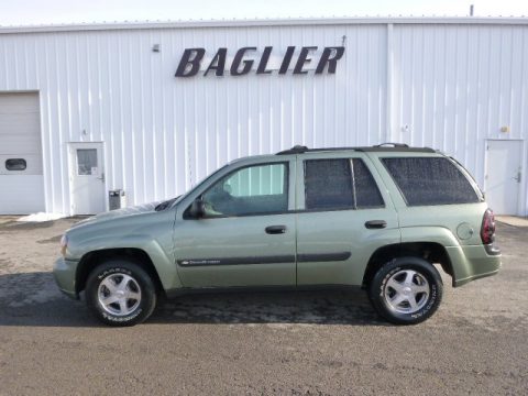 Silver Green Metallic Chevrolet TrailBlazer LS 4x4. Click to enlarge. Silver Green Metallic Chevrolet TrailBlazer LS 4x4. Click to enlarge.