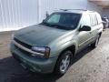 Front 3/4 View of 2004 Chevrolet TrailBlazer LS 4x4 #2 Front 3/4 View of 2004 Chevrolet TrailBlazer LS 4x4 #2