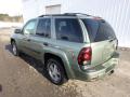 2004 Chevrolet TrailBlazer Silver Green Metallic #6 2004 Chevrolet TrailBlazer Silver Green Metallic #6