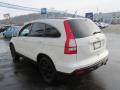 2007 CR-V EX-L 4WD #7