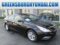 2014 Sonata GLS #1 2014 Sonata GLS #1