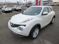 Front 3/4 View of 2014 Nissan Juke SL AWD #3 Front 3/4 View of 2014 Nissan Juke SL AWD #3