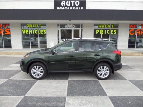 Spruce Green Mica Toyota RAV4 Limited AWD.  Click to enlarge.
