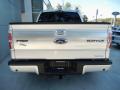 2013 F150 Platinum SuperCrew #3