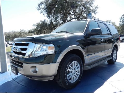 Green Gem Ford Expedition XLT.  Click to enlarge.