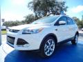 2014 Escape Titanium 2.0L EcoBoost #1