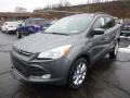 Front 3/4 View of 2014 Ford Escape SE 2.0L EcoBoost 4WD #5