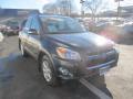 2010 RAV4 Limited 4WD #8