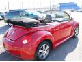 2006 New Beetle 2.5 Convertible #6
