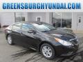 2014 Sonata GLS #1