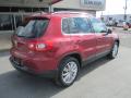 2011 Tiguan SE 4Motion #7