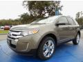 2014 Edge SEL #1