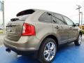 2014 Edge SEL #3