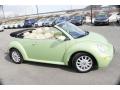 2005 New Beetle GLS Convertible #4 2005 New Beetle GLS Convertible #4