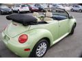 2005 New Beetle GLS Convertible #6 2005 New Beetle GLS Convertible #6