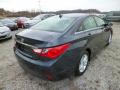 2014 Sonata GLS #7