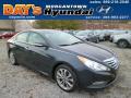 2014 Sonata SE #1 2014 Sonata SE #1
