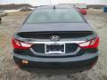 2014 Sonata SE #6 2014 Sonata SE #6