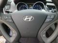 2014 Sonata SE #17 2014 Sonata SE #17