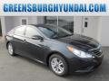 2014 Sonata GLS #1 2014 Sonata GLS #1
