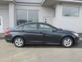 2014 Sonata GLS #2 2014 Sonata GLS #2