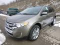 Front 3/4 View of 2014 Ford Edge SEL AWD #5