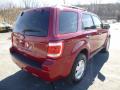 2011 Escape XLT 4WD #2