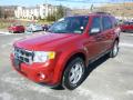 2011 Escape XLT 4WD #5