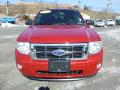 2011 Escape XLT 4WD #6