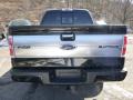 2014 F150 Platinum SuperCrew 4x4 #2