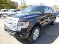 2014 F150 Platinum SuperCrew 4x4 #4