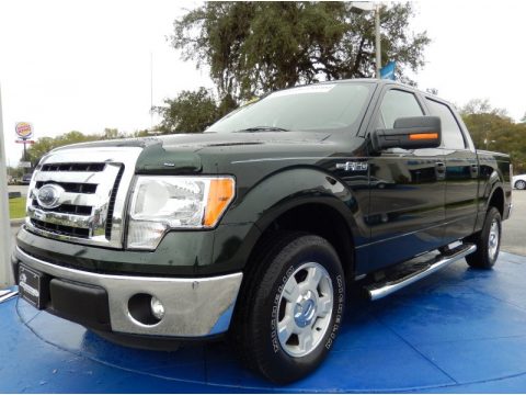 Green Gem Metallic Ford F150 XLT SuperCrew.  Click to enlarge.