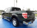 2012 F150 XLT SuperCrew #3