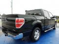 2012 F150 XLT SuperCrew #6