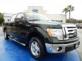2012 F150 XLT SuperCrew #8