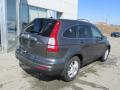 2011 CR-V EX-L 4WD #9
