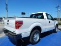 2014 F150 XL Regular Cab #3