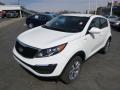 2014 Sportage LX AWD #4