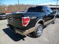 2013 F150 King Ranch SuperCrew 4x4 #6 2013 F150 King Ranch SuperCrew 4x4 #6