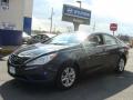 2011 Sonata GLS #1 2011 Sonata GLS #1