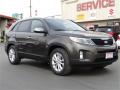 2015 Sorento EX #1 2015 Sorento EX #1