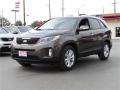 2015 Sorento EX #6 2015 Sorento EX #6