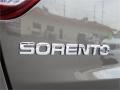 2015 Sorento EX #8 2015 Sorento EX #8