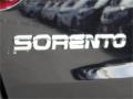 2015 Sorento LX #8