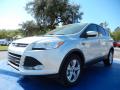 Front 3/4 View of 2014 Ford Escape SE 2.0L EcoBoost #1
