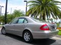 2008 E 320 BlueTEC Sedan #8