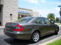 2008 E 320 BlueTEC Sedan #6