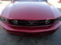 2007 Mustang V6 Premium Coupe #21
