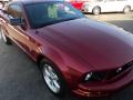 2007 Mustang V6 Premium Coupe #22